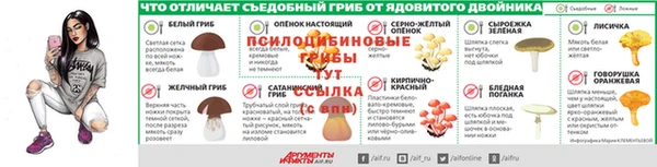 дмт Лабытнанги