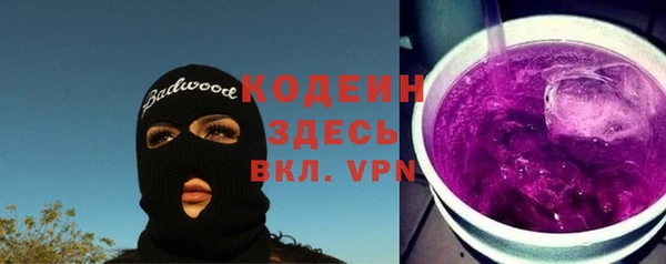 дмт Лабытнанги