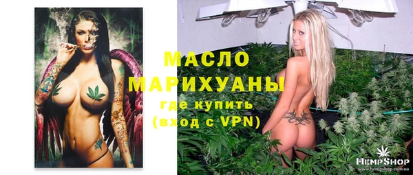 дмт Лабытнанги
