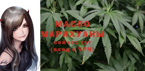 дмт Лабытнанги