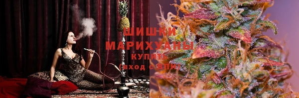 дмт Лабытнанги