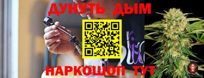 прущие грибы Будённовск