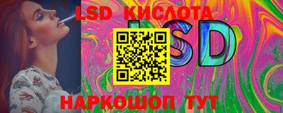 прущие грибы Будённовск