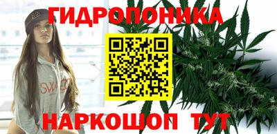 прущие грибы Будённовск