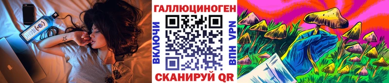 Псилоцибиновые грибы Psilocybe  как найти   OMG как зайти  Нижнекамск 