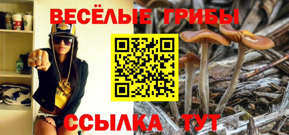 Галлюциногенные грибы мухоморы Нижнекамск